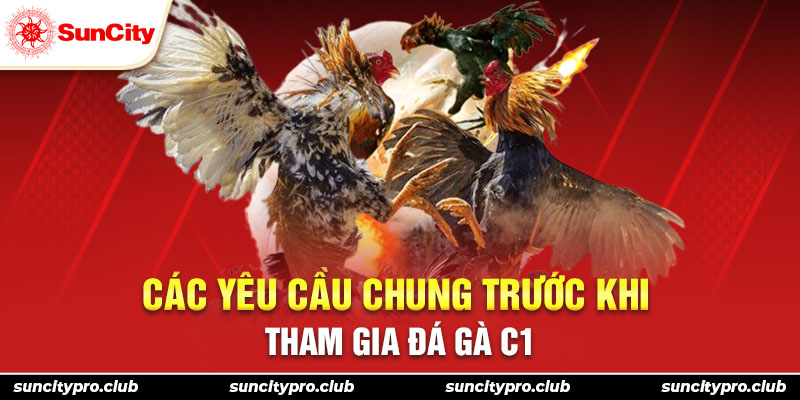 Các yêu cầu chung trước khi tham gia đá gà C1