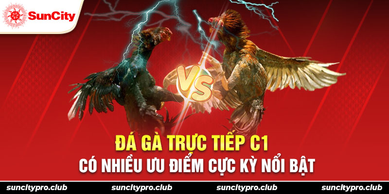 Đá gà trực tiếp C1 có nhiều ưu điểm cực kỳ nổi bật