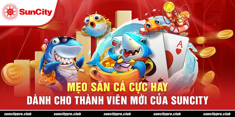 Mẹo săn cá cược hay dành cho thành viên mới của Suncity