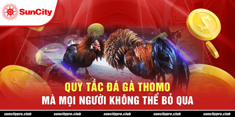 Quy tắc đá gà Thomo mà mọi người không thể bỏ qua