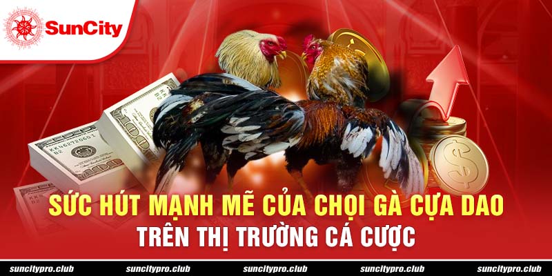 Sức hút mạnh mẽ của chọi gà cựa dao trên thị trường cá cược