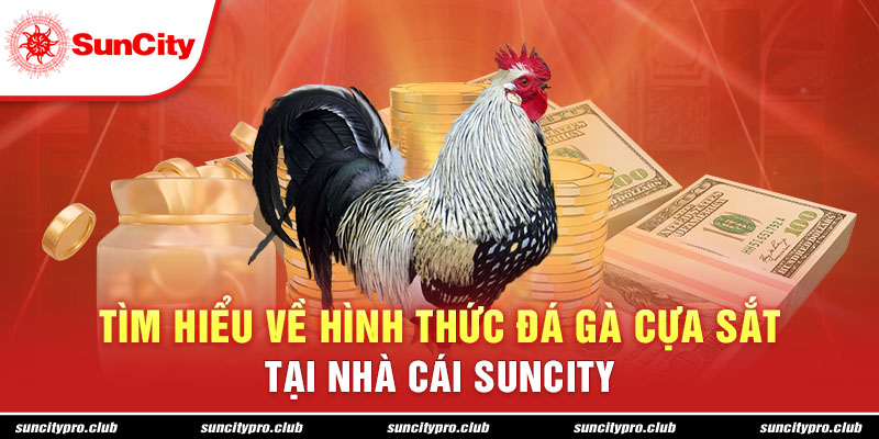 Tìm hiểu về hình thức đá gà cựa sắt tại nhà cái Suncity