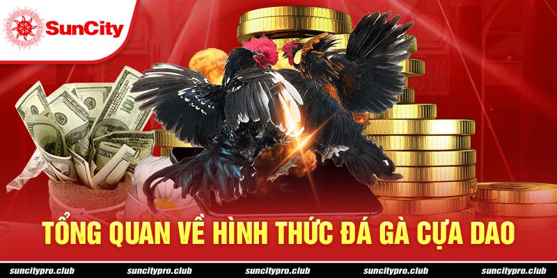 Tổng quan về hình thức đá gà cựa dao