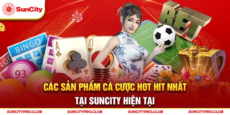 Các sản phẩm cá cược hot hit nhất tại Suncity hiện tại